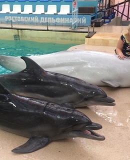 Юлия — фото 6